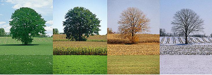 PC游戏秀：后启示录求生《我是未来》预告片分享