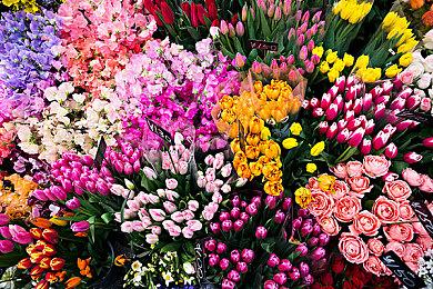 《战锤40K：星际战士2》PC配置公布 优化堪忧